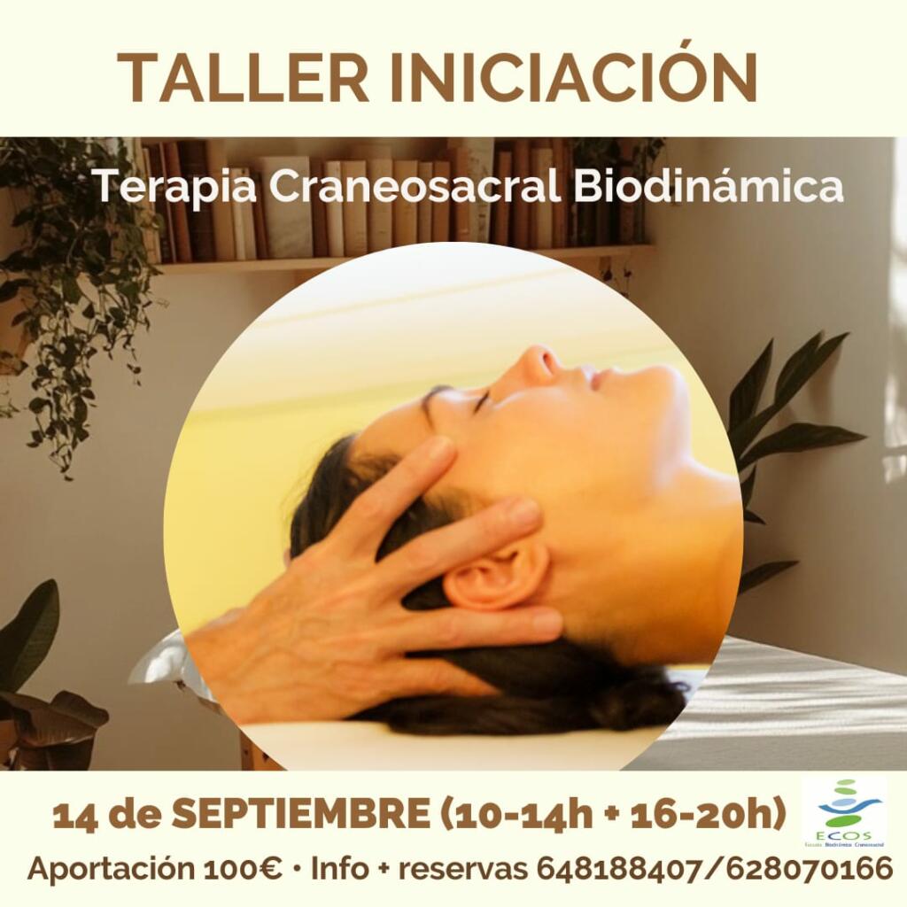 Taller Iniciación craneosacral